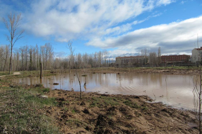 Agua embalsada en la ribera del Duero a su paso por Almazán.-JESÚS CEDAZO