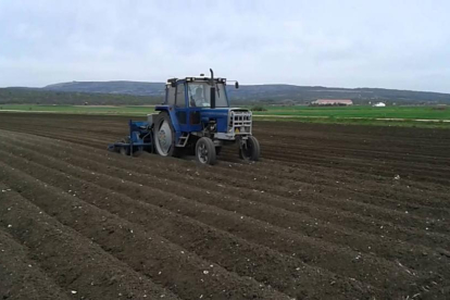 Un agricultor siembra patata en el Valle de Losa.-ECB