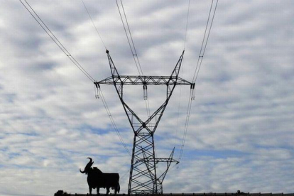 Líneas eléctricas cerca de Oviedo.-REUTERS / ELOY ALONSO