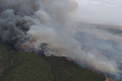 Vista aérea del incendio forestal en la zona del Moncayo aragonés. INFOAR-GOBIERNO DE ARAGÓN