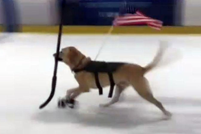 Un perro se convierte en una estrella del patinaje sobre hielo en Las Vegas.-ATLAS