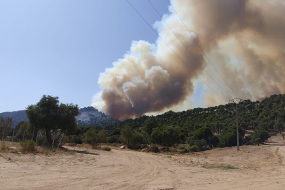 El incendio forestal de Cebreros en el que trabajan los efectivos de la BRIF de Lubia. BRIF LUBIA