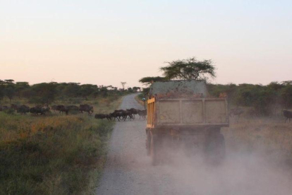 Un camión conduciendo por un camino en Tanzania.-XAVIER SURINYACH