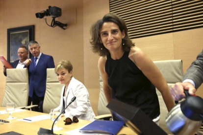 Teresa Ribera, ministra de Transición Ecológica-DAVID CASTRO
