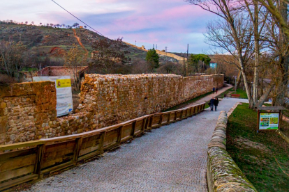 La muralla en su tramo junto al Duero. MARIO TEJEDOR (3)