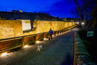 La muralla en su tramo junto al Duero. MARIO TEJEDOR (40)