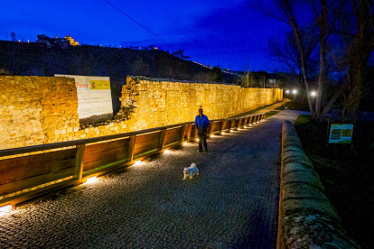 La muralla en su tramo junto al Duero. MARIO TEJEDOR (38)