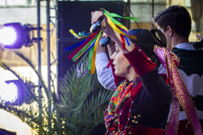 XXV Festival de Música y Danza Tradicional. MARIO TEJEDOR (18)