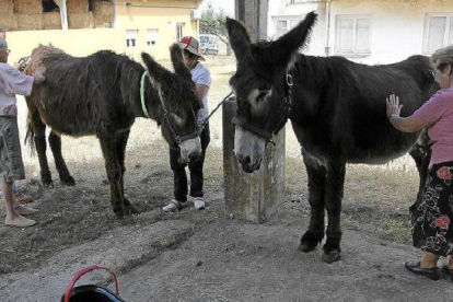 Enfermos de Alzheimer con los burros en Santa Croya de Tera. / J.F. Gamazo-