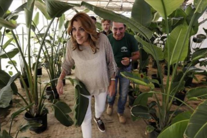 La presidenta de Andalucía, Susana Díaz, durante la visita a un vivero en Sevilla el pasado mes de julio.-EFE