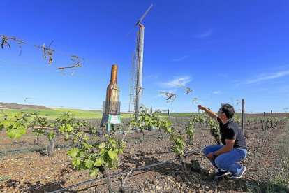 Algunas bodegas de Castilla y León tienen instalados desde hace años sistemas para combatir las heladas en los viñedos-ICAL