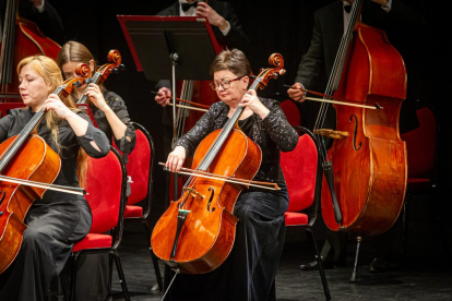 Concierto de año nuevo Strauss Festival Orchestra. MARIO TEJEDOR (8)