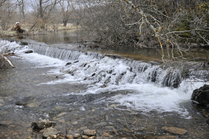 El río Tera fluye con buen caudal a su paso por Espejo. / VALENTÍN GUISANDE