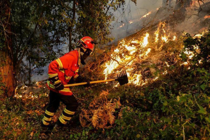 Un bombero trabaja en la escena de un incendio forestal cerca de la aldea de Cioga do campo, Cantanhede, Coimbra, Portugal.-EFE