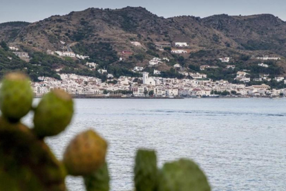 Aspecto de la localidad de Port de la Selva (Alt Empordà).-FERRAN SENDRA