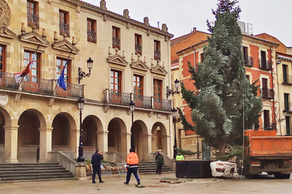Instalación del arbol navideño en la Plaza mayor. MARIO  TEJEDOR (10)