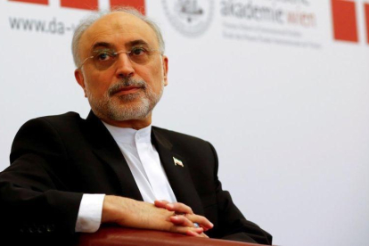 Ali Akbar Salehi, responsable de energía atómica de Irán.-REUTERS / LEONHARD FOEGER