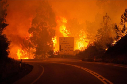 Imagen del incendio desatado en el centro de Portugal.-EFE