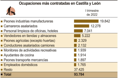 Profesiones más demandadas en Castilla y León en el primer trimestre de 2022. ICAL