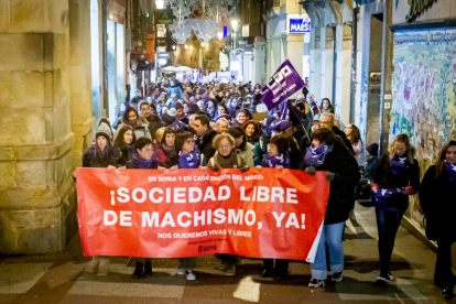 Manifestación del Día internacional para la eliminación de la violencia contra las mujeres. MARIO TEJEDOR (11)