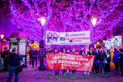 Manifestación del Día internacional para la eliminación de la violencia contra las mujeres. MARIO TEJEDOR (29)