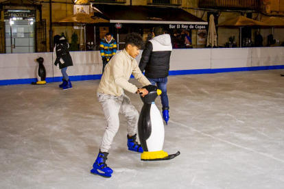 Pista para patinaje sobre hielo. MARIO TEJEDOR (4)