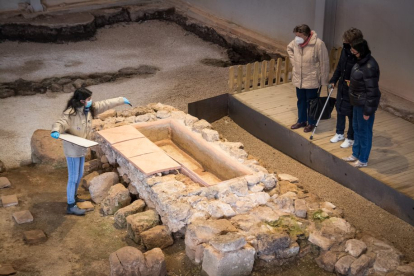 Museo de la villa romana de Cuevas de Soria. HDS