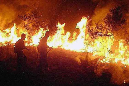 Brasil despliega a miles de hombres para combatir los incendios en la amazonia.-EFE
