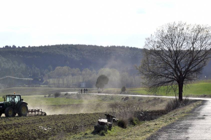 Un tractor trabaja sobre una finca de la provincia.-ÁLVARO MARTÍNEZ