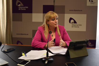 María José Jiménez, vicepresidenta de la Diputación de Soria. -HDS