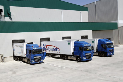 Instalaciones de Transportes Molinero-M.T.