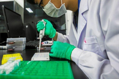 Un laboratorio especializado en terapias génicas, en la población china de Nanjing.-EFE / ALEKSANDAR PLAVEVSKI
