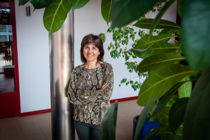 Raquel Ramos es directora del Centro de Desarrollo de Energías Renovables (CEDER) ubicado en Lubia. MARIO TEJEDOR