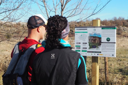 Dos personas observan un panel informativo en un monte de Soria. HDS
