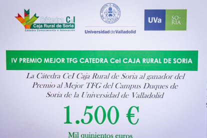 Premios Cátedra Caja Rural de Soria. MARIO TEJEDOR (2)