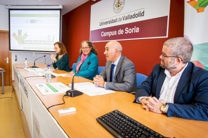 Premios Cátedra Caja Rural de Soria. MARIO TEJEDOR (3)