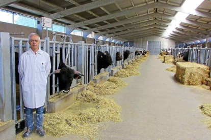 Juan Carlos Boixo, director del Censyra, en la nave de los toros.-Censyra