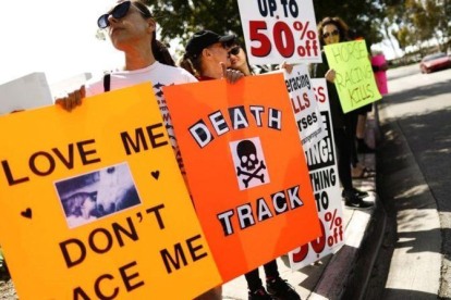 Activistas defensores de los derechos de los animales protestan, en la puerta del hipódromo de Santa Anita (Arcadia, California, EEUU), por la muerte de 22 purasangres.-AFP / MARIO TAMA