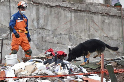 Un rescatista japonés con un perro participa en la búsqueda de supervivientes en un edificio desmoronado en Ciudad de México, el 22 de septiembre-AFP / YURI CORTEZ