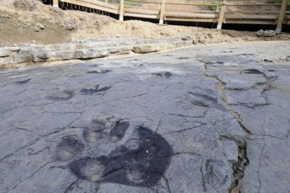 Una de las huellas fosilizadas en la zona de Tierras Altas-V.G.