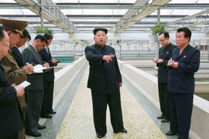 Kim Jong-un muestra su enfado durante la visita a un criadeo de tortugas.-Foto:   KNS / AFP