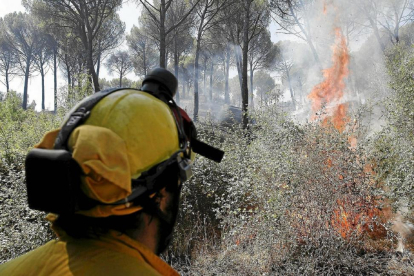 El mayor riesgo de incendios se concentra en puntos de Ávila, León y Zamora --EL MUNDO