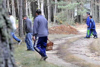 Turistas buscando setas. / DIEGO MAYOR-