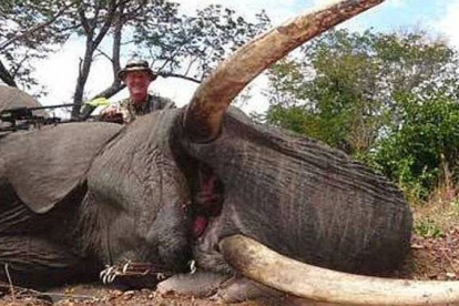 El doctor Jan Casmir Seski, con un elefante, en una imagen colgada en Facebook en septiembre del 2014.-Foto: GRIZZLY STIK FACEBOOK