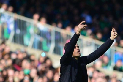 Luis Enrique gesticula durante el Betis-Barça en el Benito Villamarín.-AFP / CRISTINA QUICLER