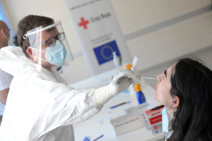 Test de coronavirus realizados por Cruz Roja en Castilla y León.-ICAL
