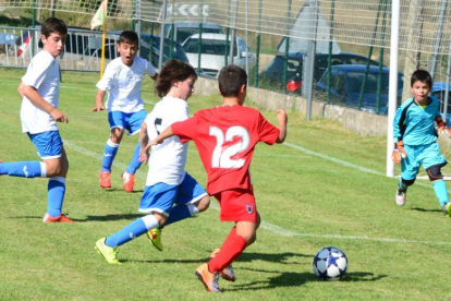 Imagen de la pasada edición de la Pinares Cup.-Álvaro Martínez