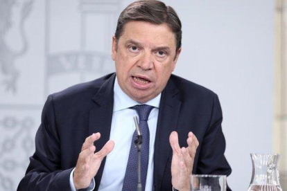Luis Planas, ministro de Agricultura.-