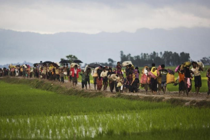 Miembros de la minoría rohingya caminan por un campo de arroz en su huida de Birmania para refugiarse en Bangladés.-AP / BERNAT ARMANGUE