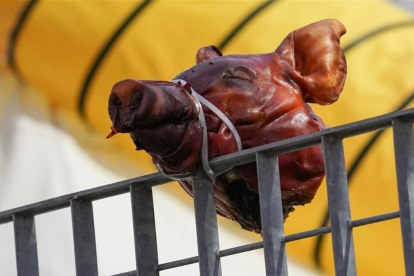 Cabeza de cerdo en el Hospitality de Márquez-ALEJANDRO CERESUELA